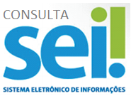 consulta sei
